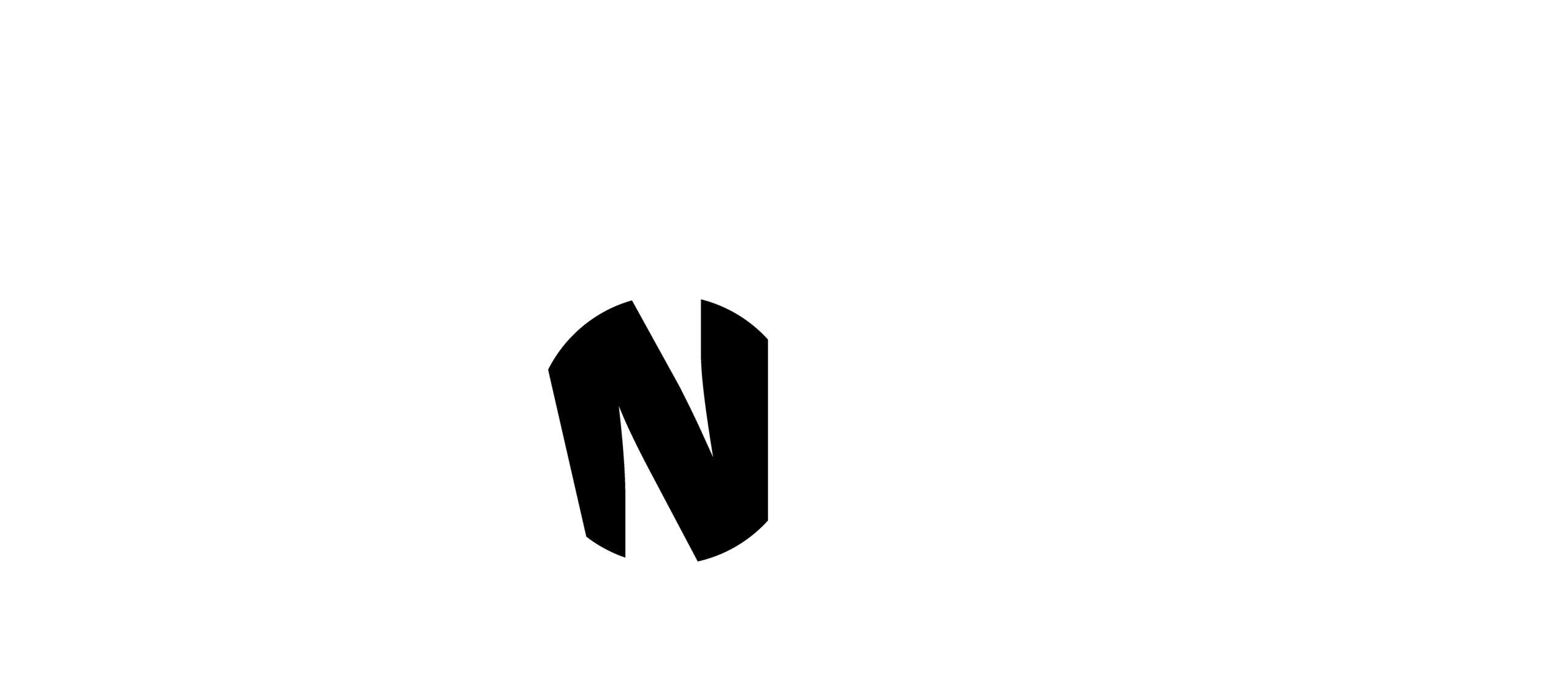 skankings logo white